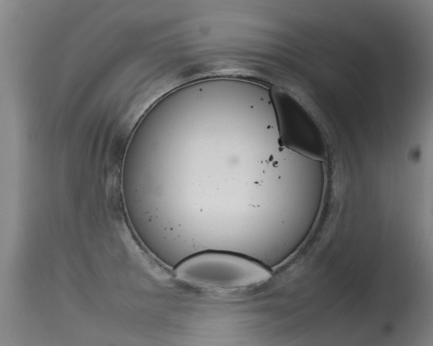 X0000115581281200911100945