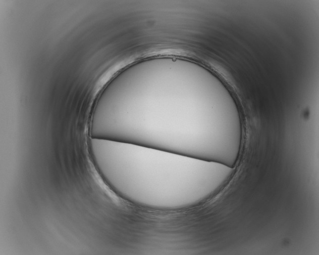 X0000115581282200911100945