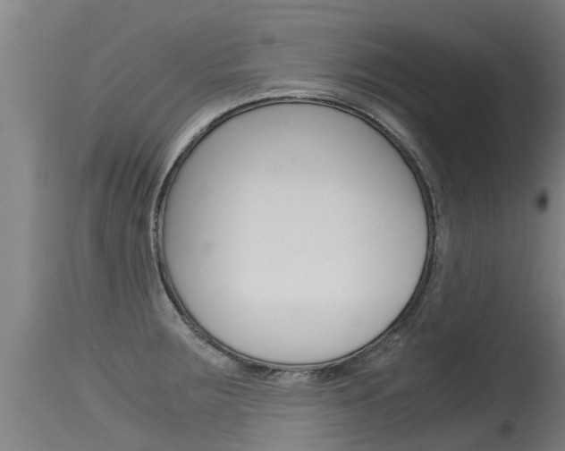 X0000115581283200911100945