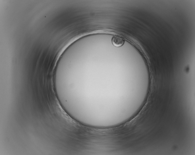 X0000115581284200911100945