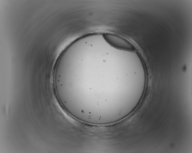 X0000115581285200911100945