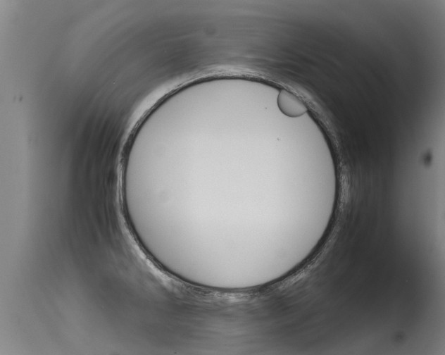 X0000115581286200911100945