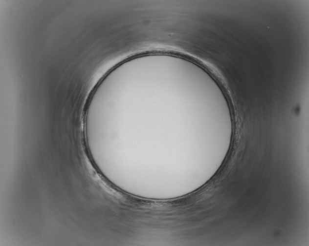 X0000115581287200911100945