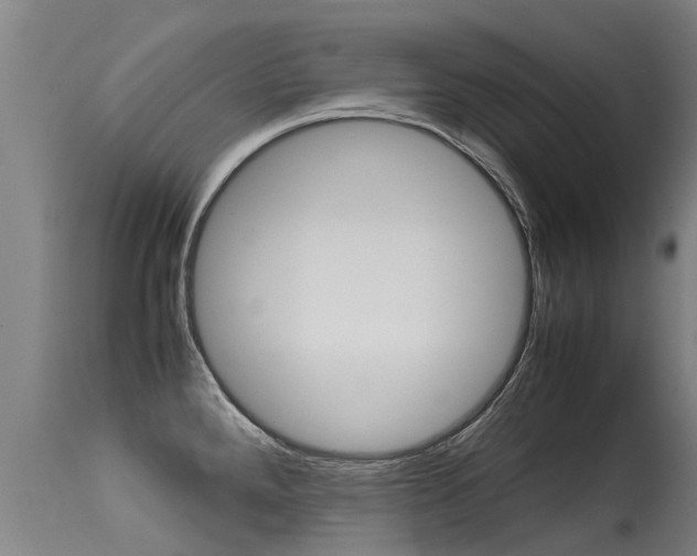 X0000115581288200911100945
