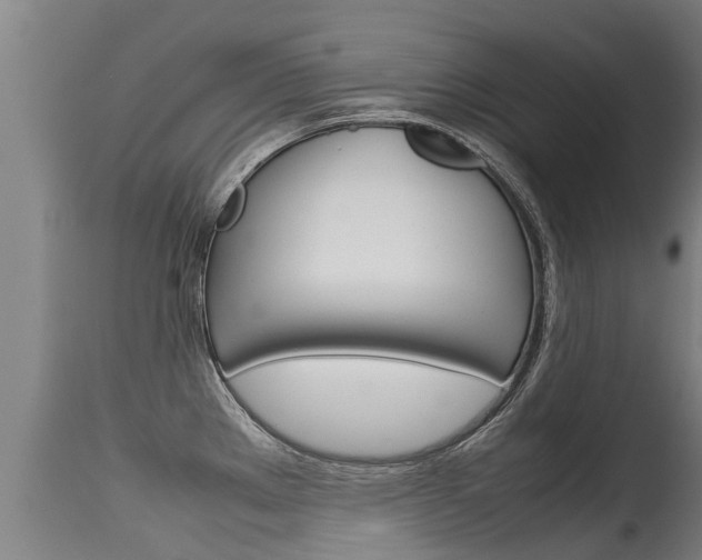 X0000115581289200911100945