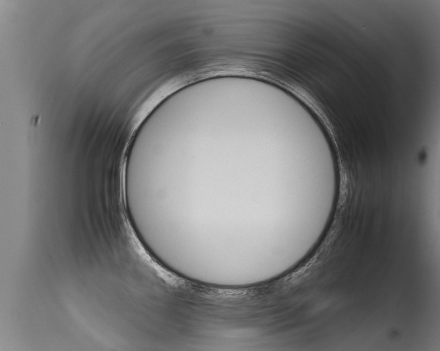 X0000115581290200911100945