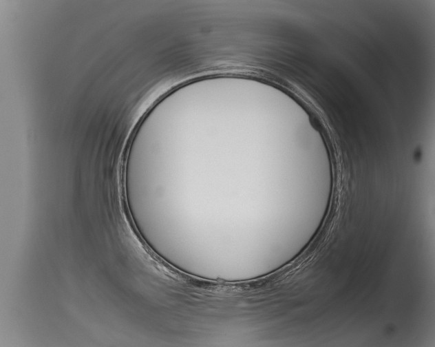 X0000115581291200911100945