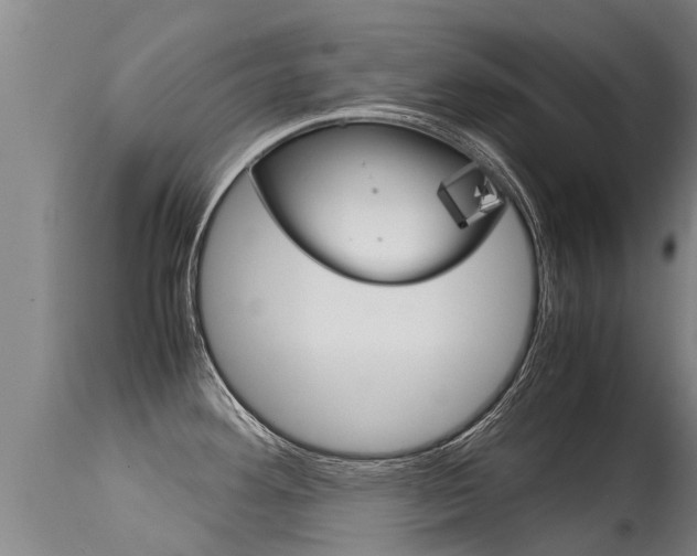 X0000115581292200911100945