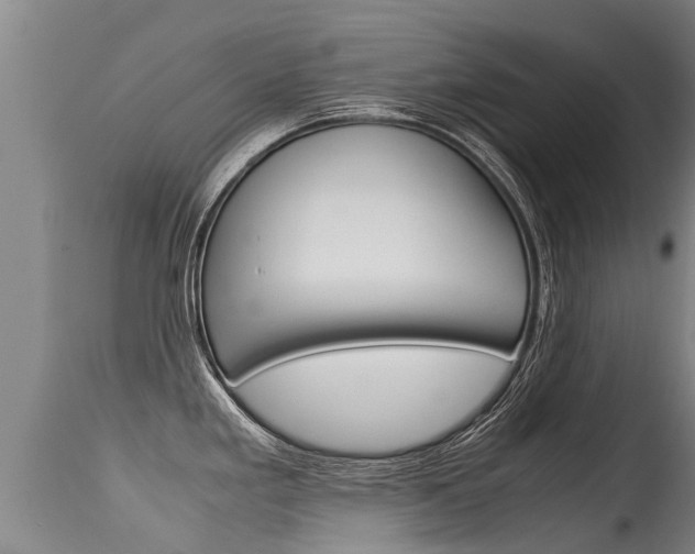 X0000115581293200911100945