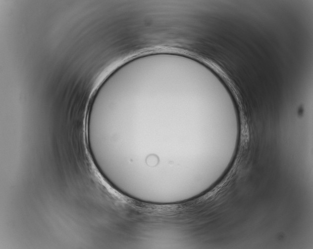X0000115581294200911100945