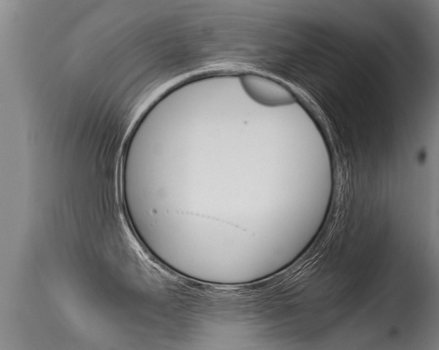 X0000115581295200911100945