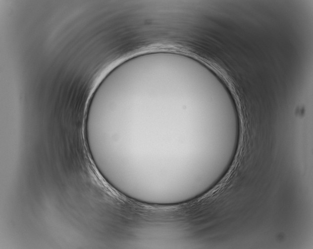 X0000115581296200911100945