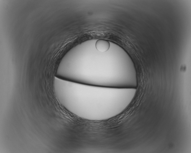 X0000115581297200911100945