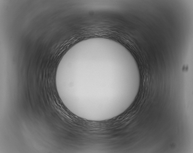 X0000115581298200911100945
