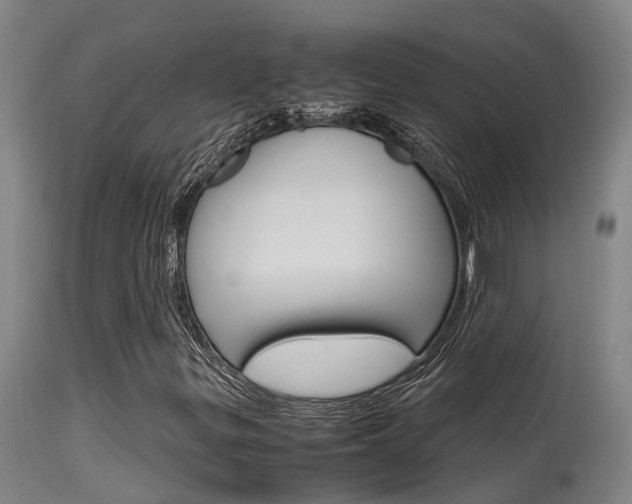 X0000115581299200911100945