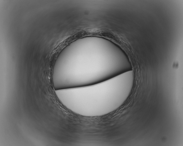X0000115581301200911100945