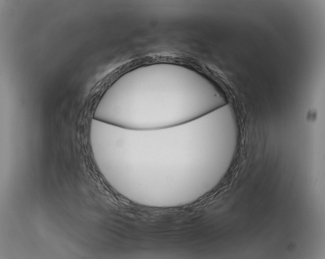 X0000115581303200911100945