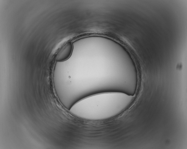 X0000115581307200911100945
