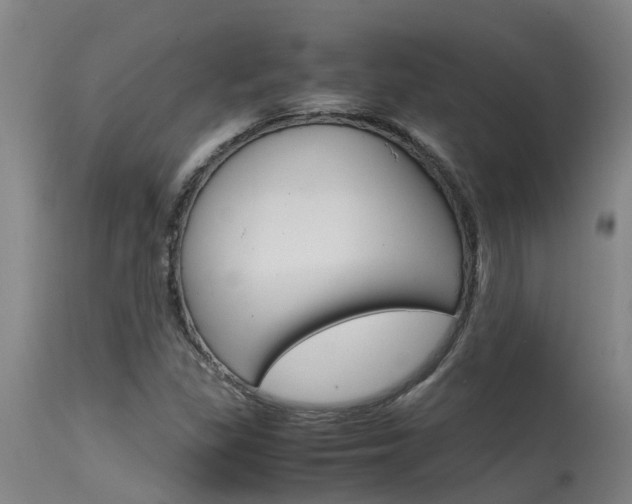 X0000115581309200911100945