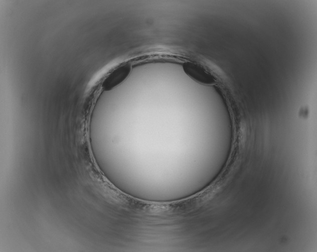 X0000115581310200911100945