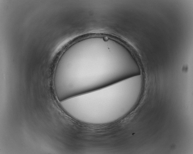 X0000115581311200911100945