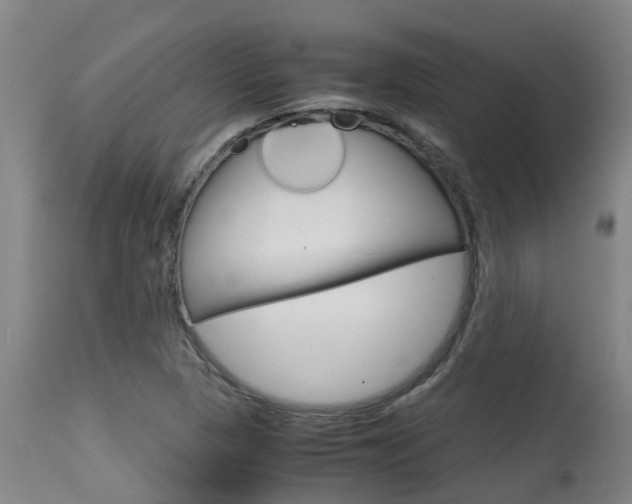 X0000115581313200911100945