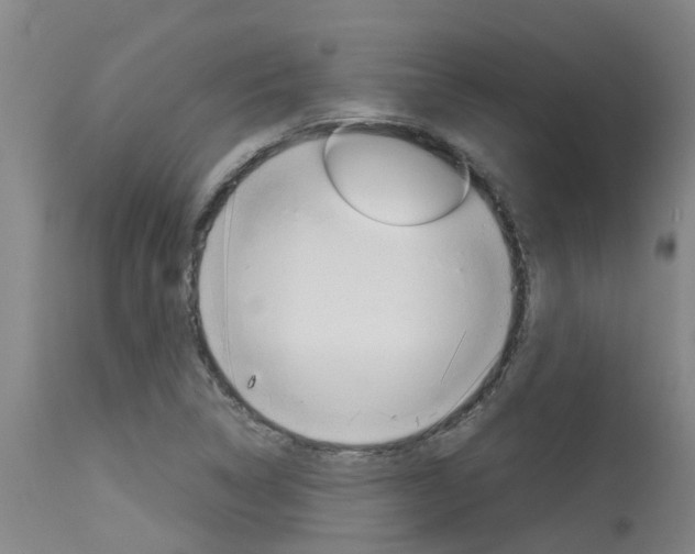 X0000115581314200911100945
