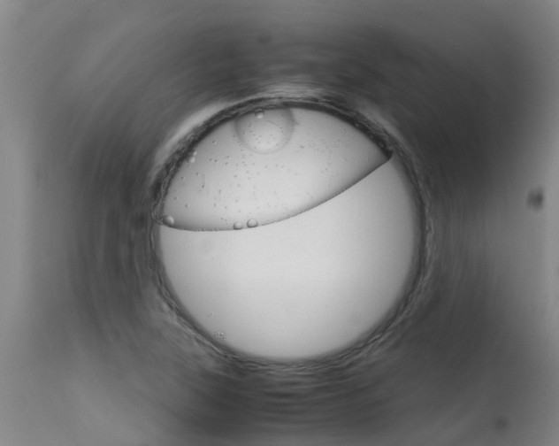 X0000115581315200911100945