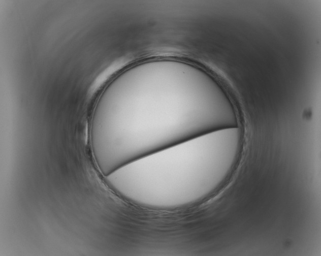 X0000115581317200911100945