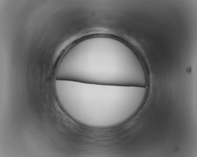 X0000115581318200911100945