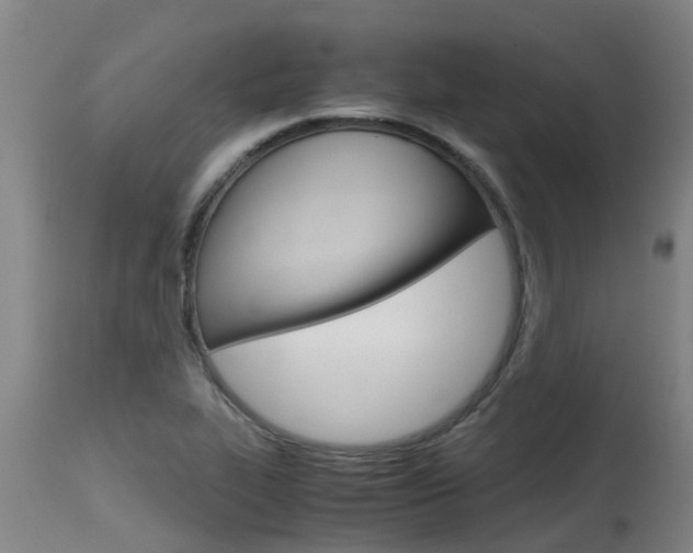 X0000115581319200911100945