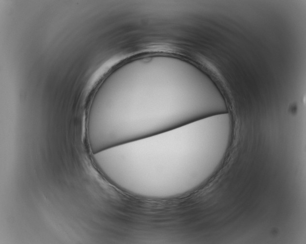 X0000115581323200911100945
