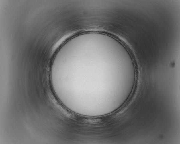 X0000115581325200911100945