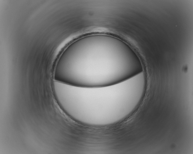 X0000115581326200911100945