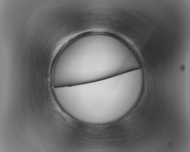 X0000115581327200911100945