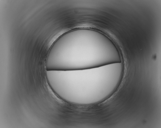 X0000115581329200911100945