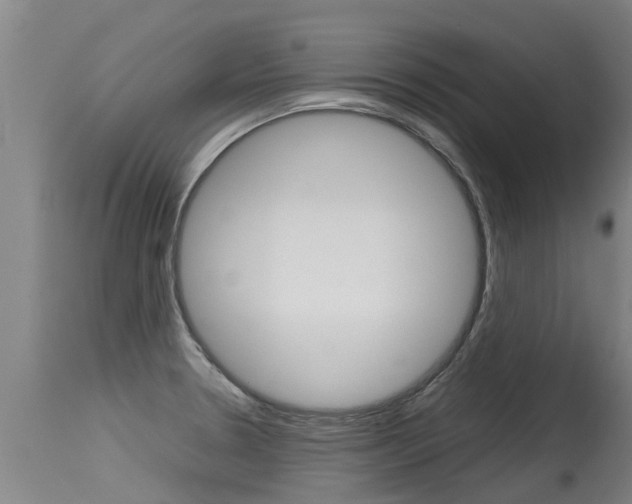X0000115581330200911100945