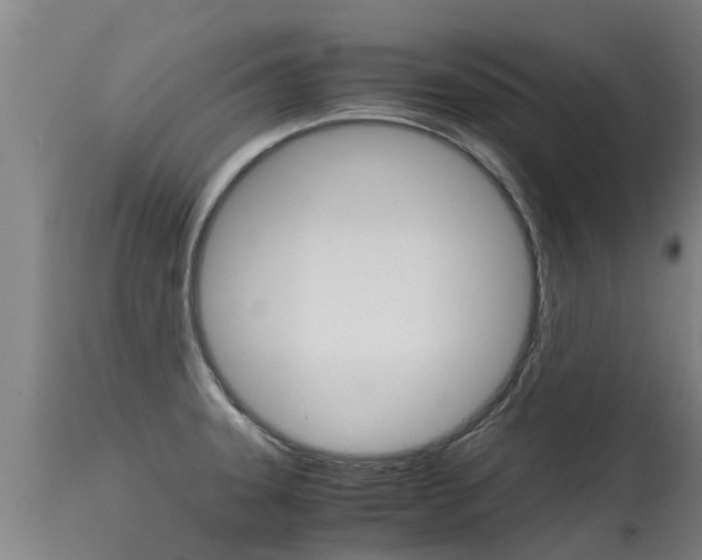 X0000115581331200911100945