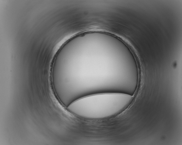 X0000115581333200911100945