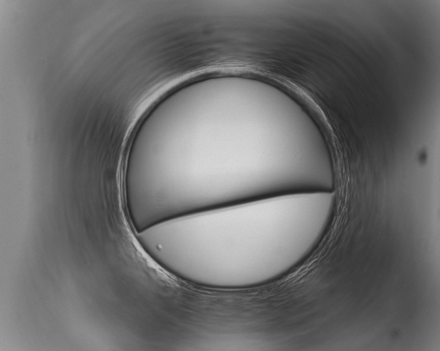 X0000115581343200911100945