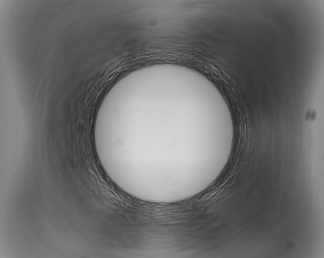 X0000115581345200911100945