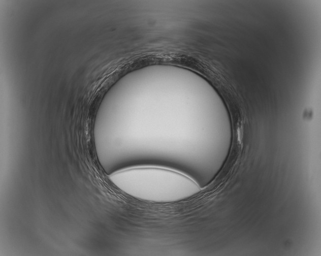 X0000115581347200911100945