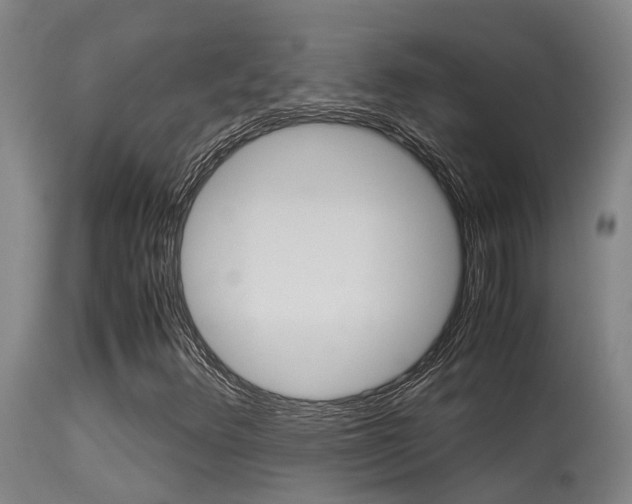 X0000115581348200911100945