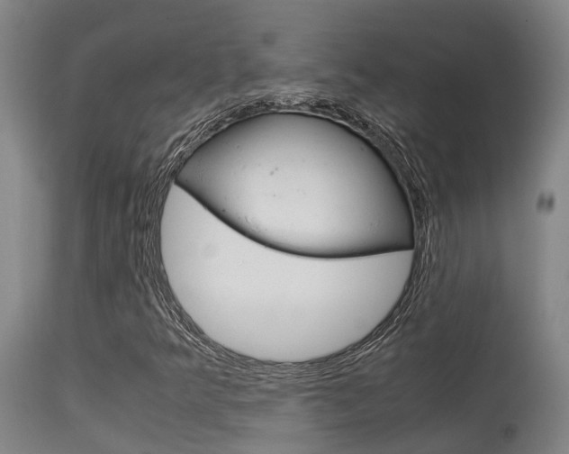 X0000115581349200911100945