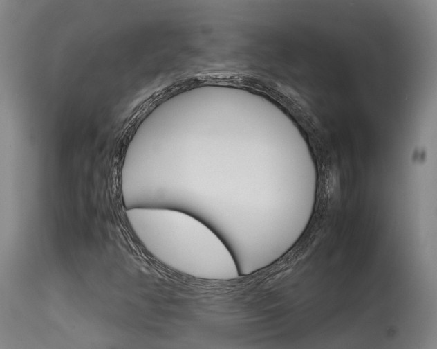 X0000115581350200911100945