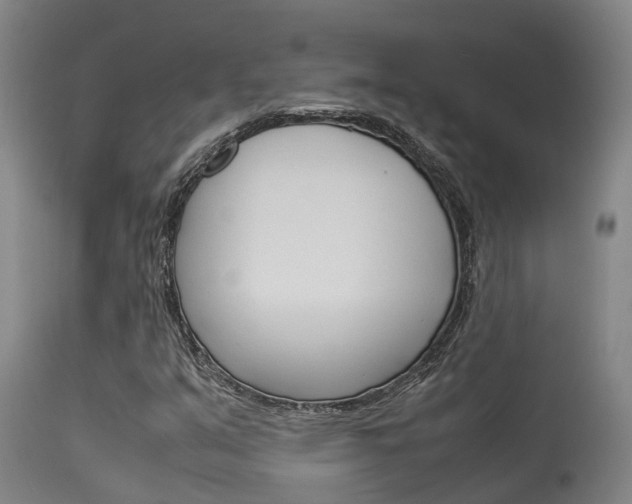 X0000115581351200911100945