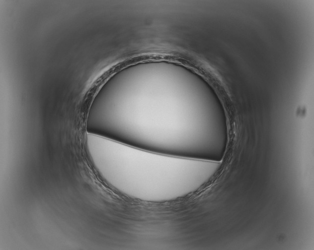 X0000115581352200911100945