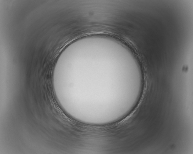 X0000115581353200911100944