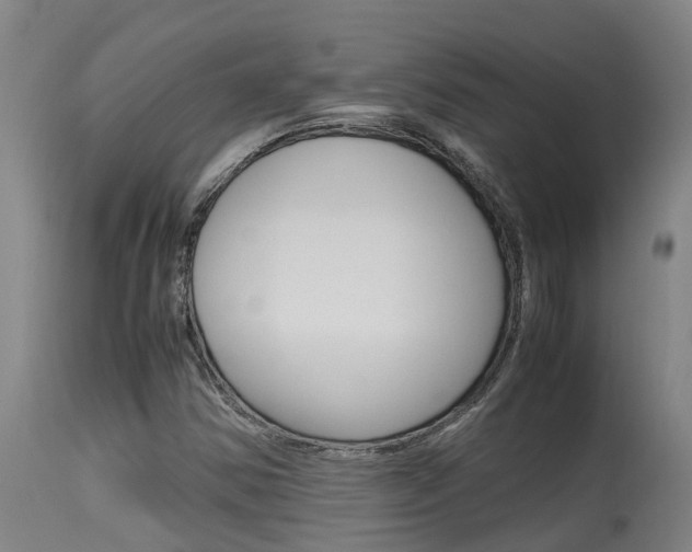 X0000115581354200911100944