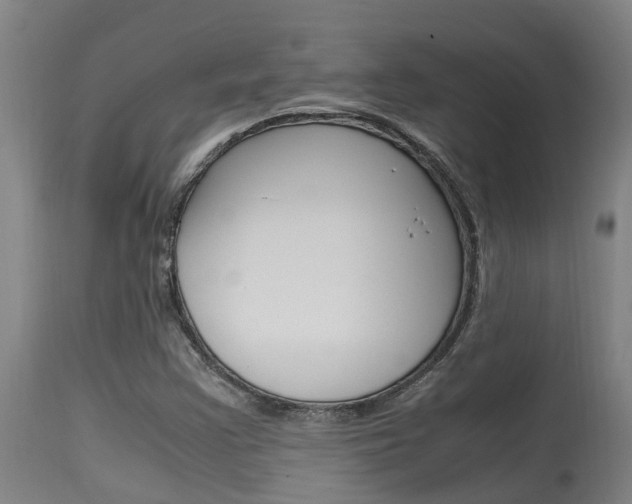 X0000115581355200911100944
